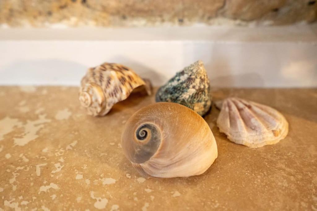 L'Antica Voltina Apartman Nettuno Kültér fotó